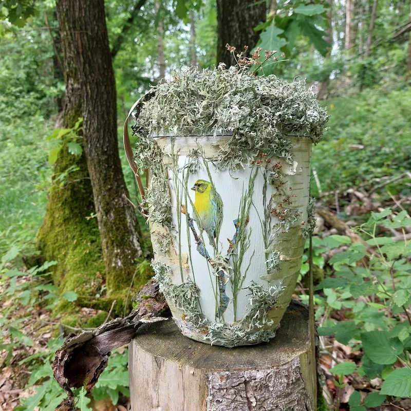 Urne Vogel Heimat